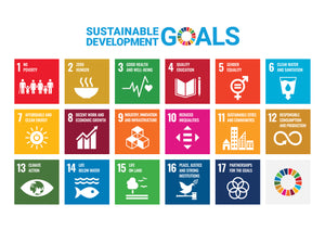 What are the United Nations SDG's and Why you Should Care